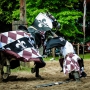 Ritterspiele-Satzvey-2011_06_12-123