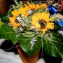 2014-Satzvey-Herbst-Silberhochzeit-Clau-Joerg-01
