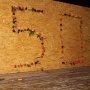 IMG_1990