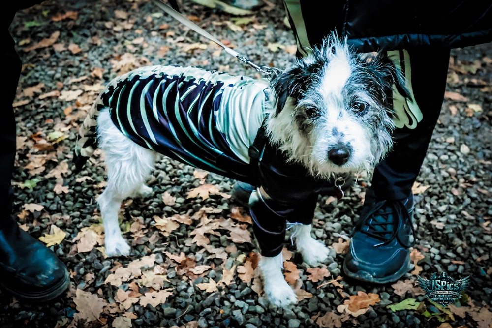 Halloween-2026-Satzvey-17