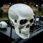 Halloween-2026-Satzvey-29