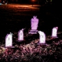 Halloween-2026-Satzvey-50