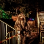 Halloween-2026-Satzvey-73