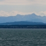 IMG_6361