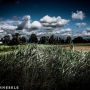 IMG_5805-2