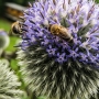 20170723_145210