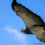 00IMG_5263