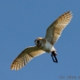00IMG_5283