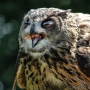 00IMG_5292