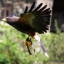 00IMG_5318
