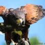 00IMG_5337