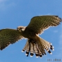 00IMG_5366