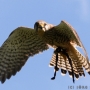 00IMG_5367