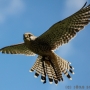 00IMG_5368