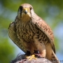 00IMG_5370