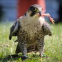 00IMG_5382
