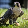 00IMG_5384
