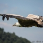 00IMG_5396