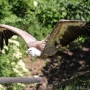 00IMG_5419