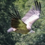 00IMG_5429