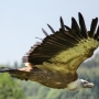 00IMG_5430
