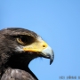 00IMG_5695