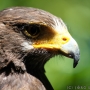 00IMG_5698