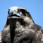 00IMG_5700