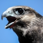 00IMG_5701