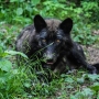00IMG_5059