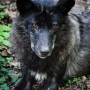 00IMG_5069