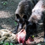 00IMG_5075