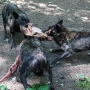 00IMG_5077