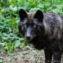00IMG_5433