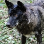 00IMG_5434