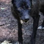 00IMG_5487