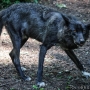 00IMG_5490