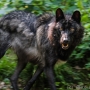 00IMG_5502
