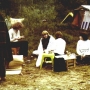 133